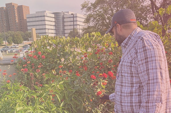 community garden