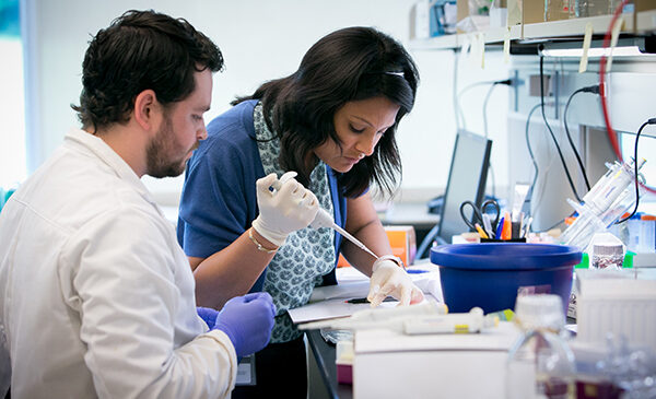 Researchers working in the Cancer Biology & Pharmacology lab