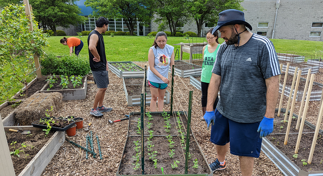 Community garden at the University of Illinois College of Medicine Peoria and Carle Health